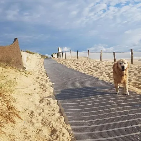 Le Cocon De La Du Santocha * Capbreton