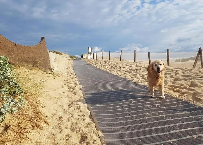 Le Cocon De La Du Santocha * Капбретон